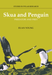 Skua and Penguin : Predator and Prey