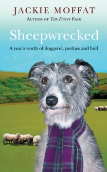 Sheepwrecked, Paperback / softback Book Sheepwrecked, Paperback / softback Book
