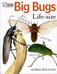 Big Bugs Life-Size, Paperback Book Big Bugs Life-Size, Paperback Book