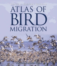 Natural History Museum Atlas of Bird Migration : Tracing the Great Journeys of the World's Birds, Hardback Book Natural History Museum Atlas of Bird Migration : Tracing the Great Journeys of the World's Birds, Hardback Book