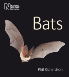 Bats, Paperback Book Bats, Paperback Book