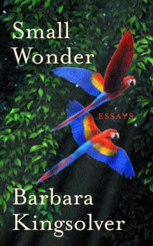 Small Wonder, Paperback Book Small Wonder, Paperback Book
