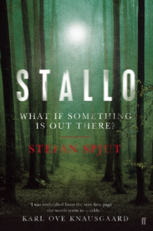 Stallo, Paperback Book Stallo, Paperback Book