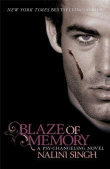 Blaze of Memory : Book 7