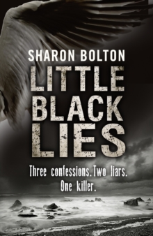 Little Black Lies, Hardback Book Little Black Lies, Hardback Book