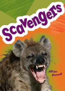 Pocket Facts Year 5: Scavengers