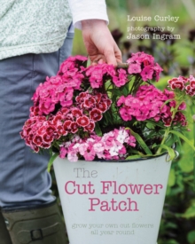 The Cut Flower Patch : Grow Your Own Cut Flowers All Year Round, Hardback Book The Cut Flower Patch : Grow Your Own Cut Flowers All Year Round, Hardback Book