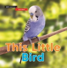 Let's Read: This Little Bird, Paperback / softback Book Let's Read: This Little Bird, Paperback / softback Book