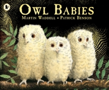 Owl Babies, Paperback / softback Book Owl Babies, Paperback / softback Book