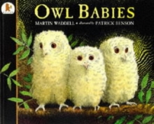 Owl Babies, Paperback Book Owl Babies, Paperback Book