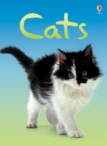 Cats, Hardback Book Cats, Hardback Book