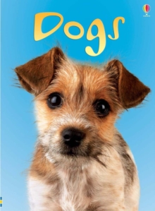 Dogs, Hardback Book Dogs, Hardback Book