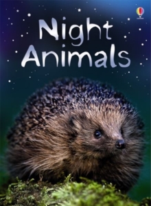 Night Animals, Hardback Book Night Animals, Hardback Book