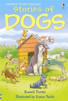 Stories of Dogs, Hardback Book Stories of Dogs, Hardback Book