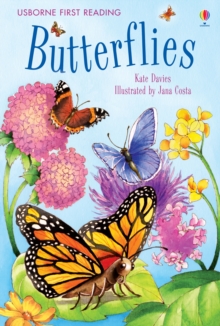 Butterflies, Hardback Book Butterflies, Hardback Book