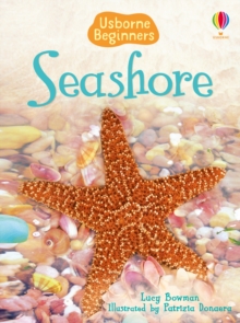 Seashore, Hardback Book Seashore, Hardback Book