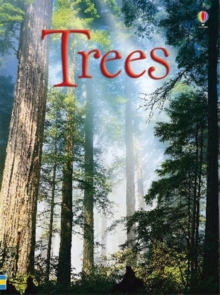 Trees, Hardback Book Trees, Hardback Book