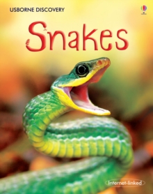 Snakes, Hardback Book Snakes, Hardback Book