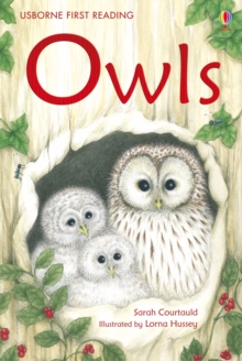 Owls, Hardback Book Owls, Hardback Book