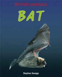 British Animals: Bat, Paperback / softback Book British Animals: Bat, Paperback / softback Book