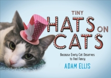 Tiny Hats on Cats, Hardback Book Tiny Hats on Cats, Hardback Book