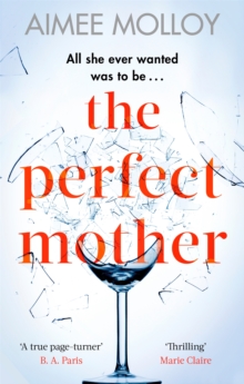 The Perfect Mother : A gripping thriller with a nail-biting twist, Paperback / softback Book The Perfect Mother : A gripping thriller with a nail-biting twist, Paperback / softback Book
