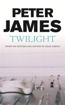 Twilight, Paperback / softback Book Twilight, Paperback / softback Book