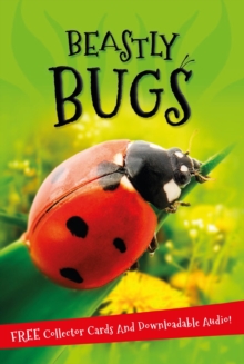 It's all about... Beastly Bugs, Paperback / softback Book It's all about... Beastly Bugs, Paperback / softback Book