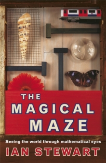 Science Masters: The Magical Maze, Paperback Book Science Masters: The Magical Maze, Paperback Book