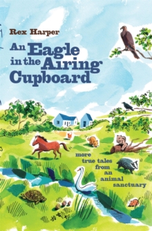 An Eagle in the Airing Cupboard, Paperback Book An Eagle in the Airing Cupboard, Paperback Book