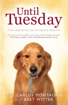 Until Tuesday, Paperback Book Until Tuesday, Paperback Book
