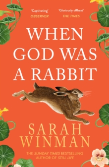 When God was a Rabbit : The Richard and Judy Bestseller, Paperback / softback Book When God was a Rabbit : The Richard and Judy Bestseller, Paperback / softback Book
