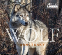 Wolf Sanctuary: The Wolves of Speedwell Forge, Hardback Book Wolf Sanctuary: The Wolves of Speedwell Forge, Hardback Book
