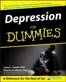 Depression For Dummies, Paperback Book Depression For Dummies, Paperback Book