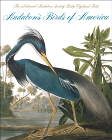 Audubon's Birds Of America : The National Audubon Society Baby Elephant Folio