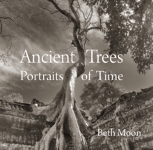 Ancient Trees : Portraits of Time, Hardback Book Ancient Trees : Portraits of Time, Hardback Book