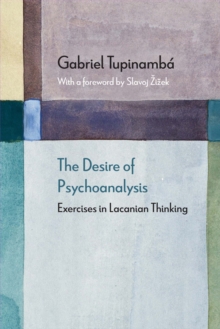 The Desire of Psychoanalysis : Exercises in Lacanian Thinking