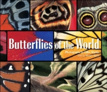 Butterflies of the World, Hardback Book Butterflies of the World, Hardback Book