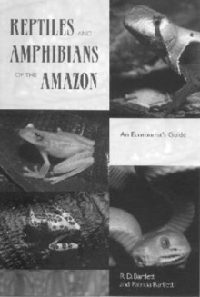 Reptiles and Amphibians of the Amazon : An Ecotourist's Guide, Paperback / softback Book Reptiles and Amphibians of the Amazon : An Ecotourist's Guide, Paperback / softback Book