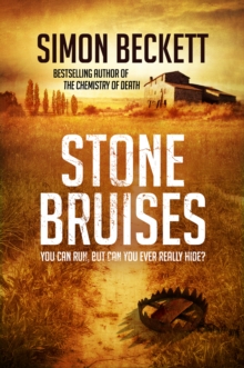 Stone Bruises, Paperback Book Stone Bruises, Paperback Book