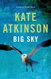 Big Sky, Hardback Book Big Sky, Hardback Book