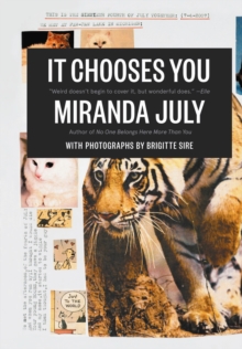It Chooses You, Paperback Book It Chooses You, Paperback Book