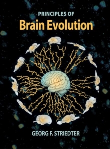 Brain Evolution, Hardback Book Brain Evolution, Hardback Book