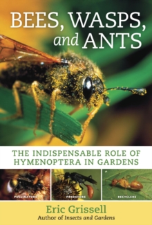 Bees, Wasps, and Ants, Hardback Book Bees, Wasps, and Ants, Hardback Book