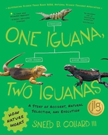 One Iguana, Two Iguanas : A Story of Accident, Natural Selection, and Evolution