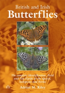 British and Irish Butterflies : The Complete Identification, Field and Site Guide to the Species, Subspecies and Forms, Paperback Book British and Irish Butterflies : The Complete Identification, Field and Site Guide to the Species, Subspecies and Forms, Paperback Book