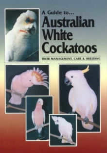 Australian White Cockatoos