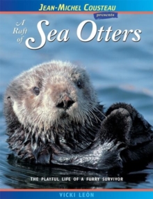 A Raft of Sea Otters : The Playful Life of a Furry Survivor