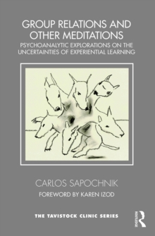 Group Relations and Other Meditations : Psychoanalytic explorations on the uncertainties of experiential learning