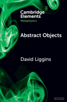Abstract Objects
